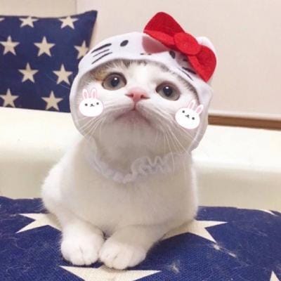 小阿黄