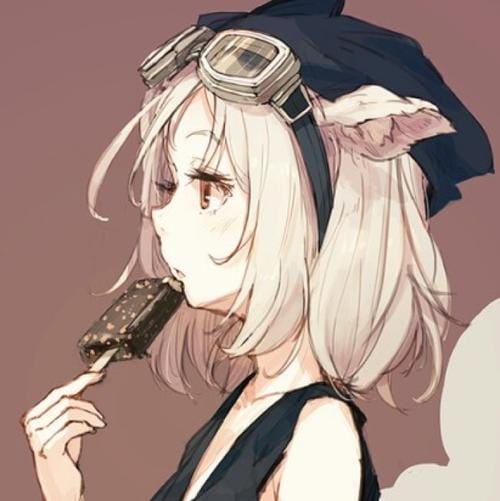 18252